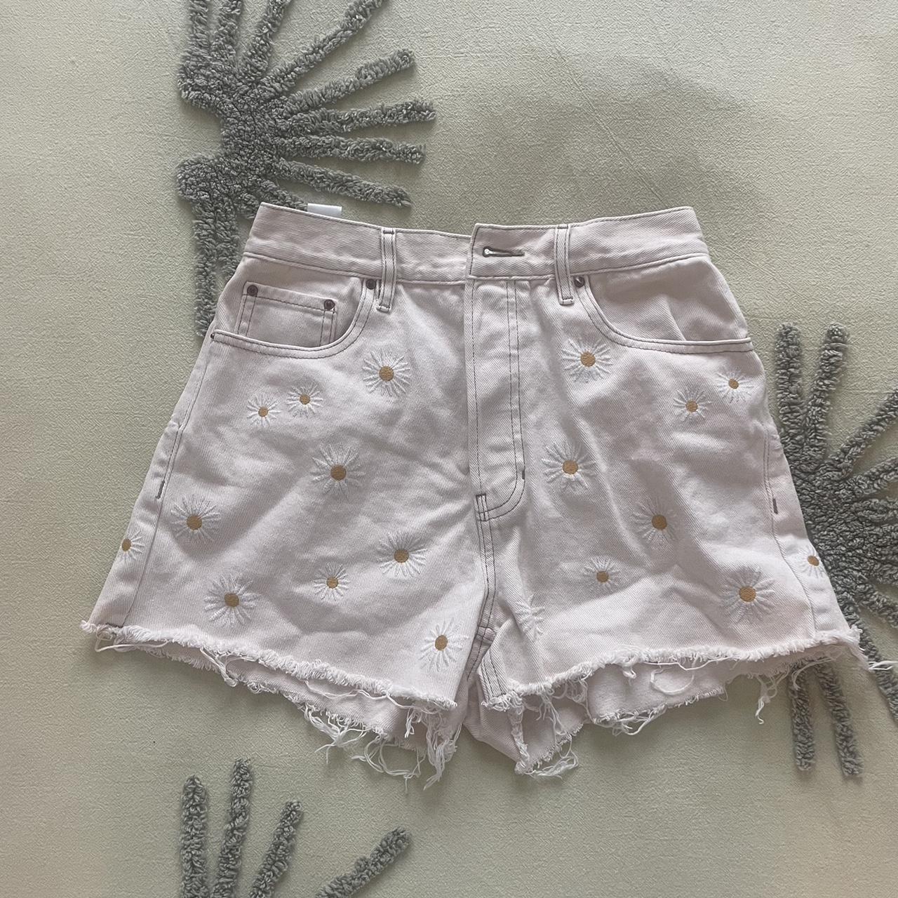 Pacsun best sale embroidered shorts