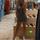 item listed by chloekerley25