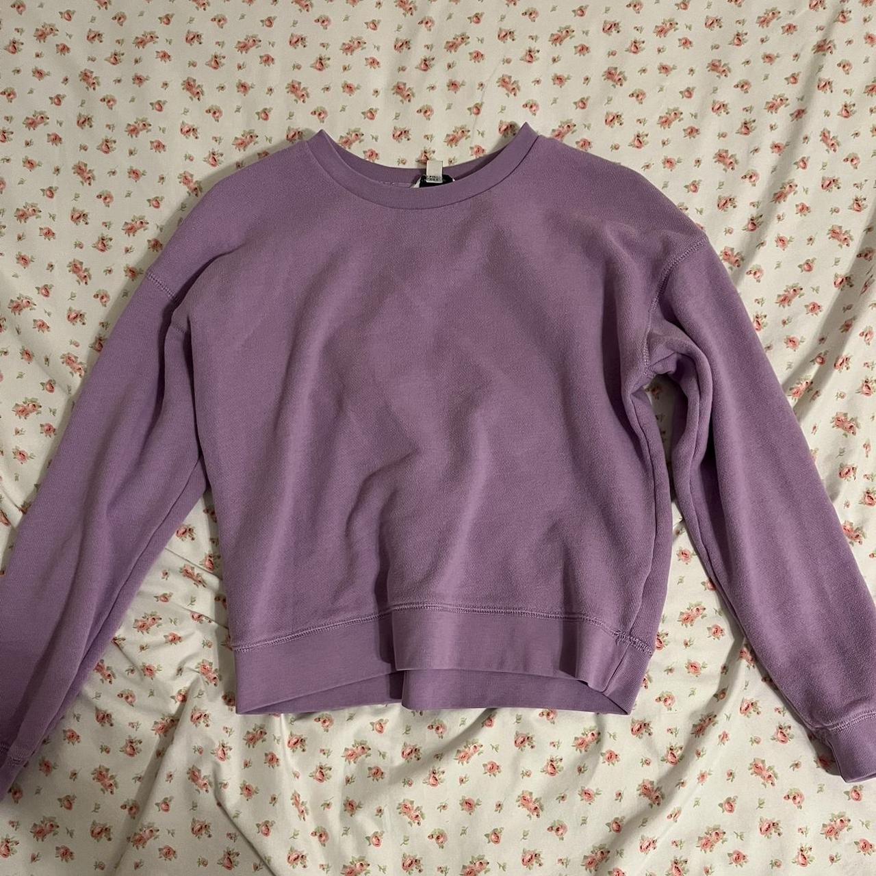 American eagle purple discount sweatshirt