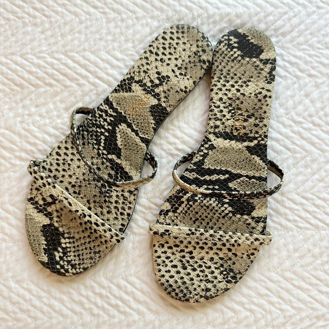 tkees gemma snake