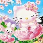 novaemma's profile picture