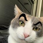 aaraaaralyn's profile picture