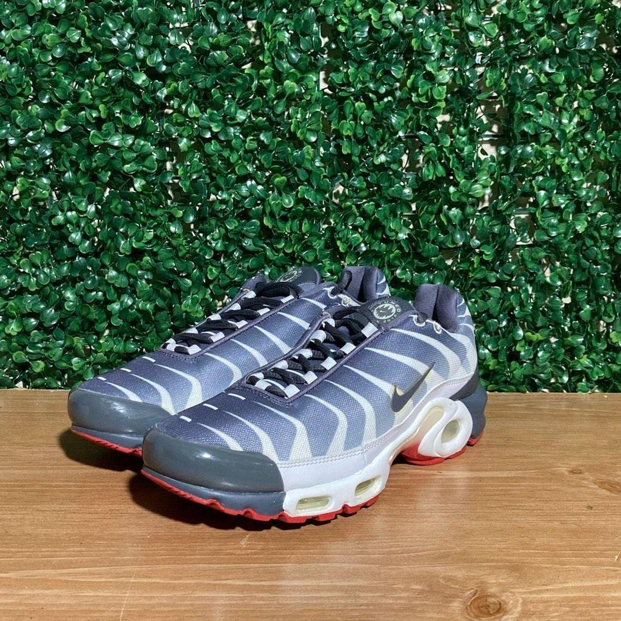 Air max plus before hotsell the bite