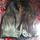 item listed by kairii8088