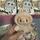 item listed by pich_k