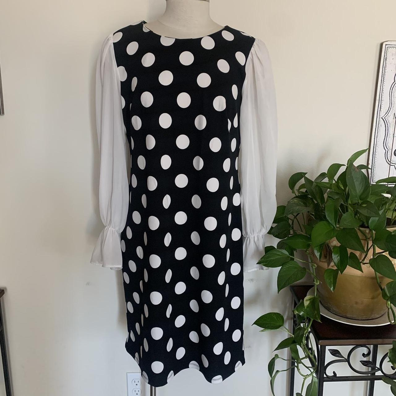 Shelby and palmer black and best sale white dress