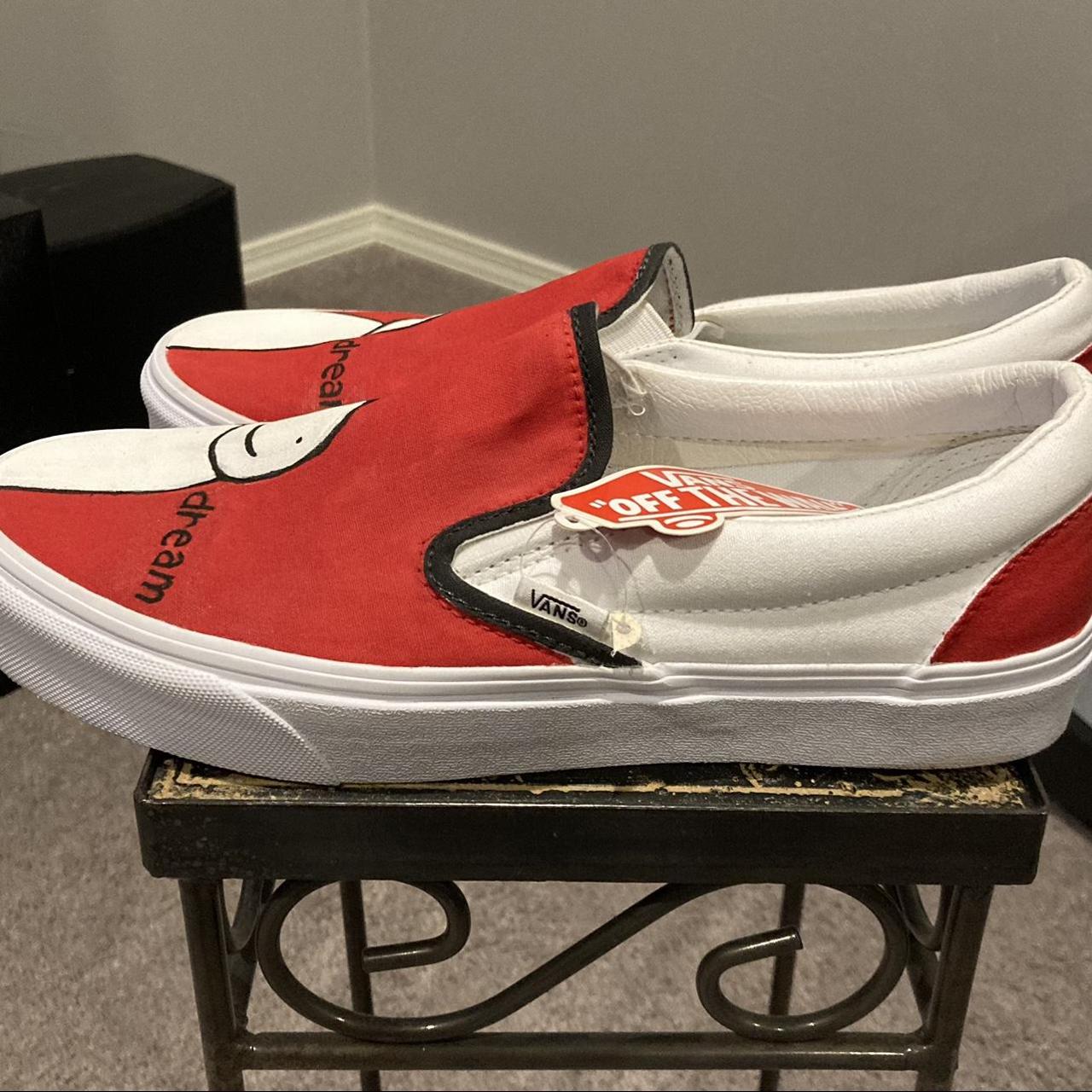 Vans Men's One of A Kind Hand Painted Shoes
