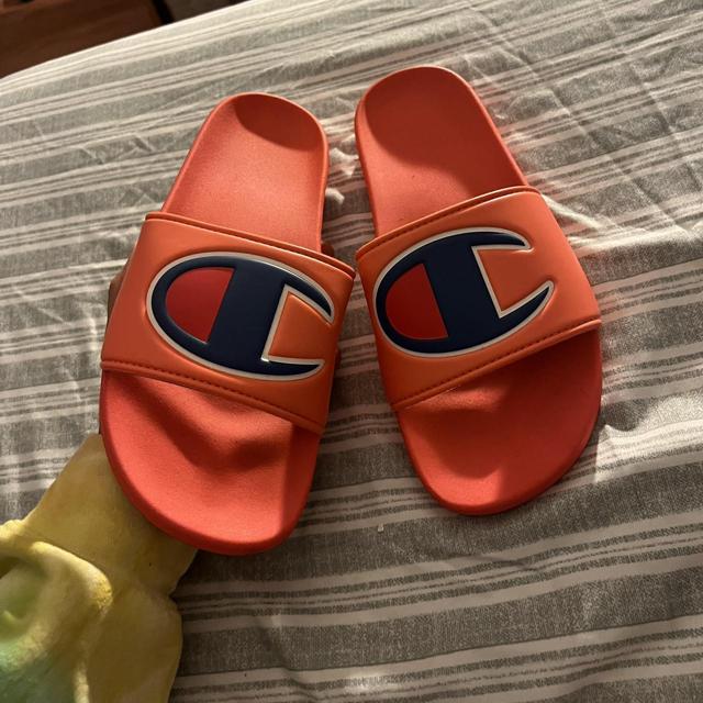 Papaya champion hot sale slides