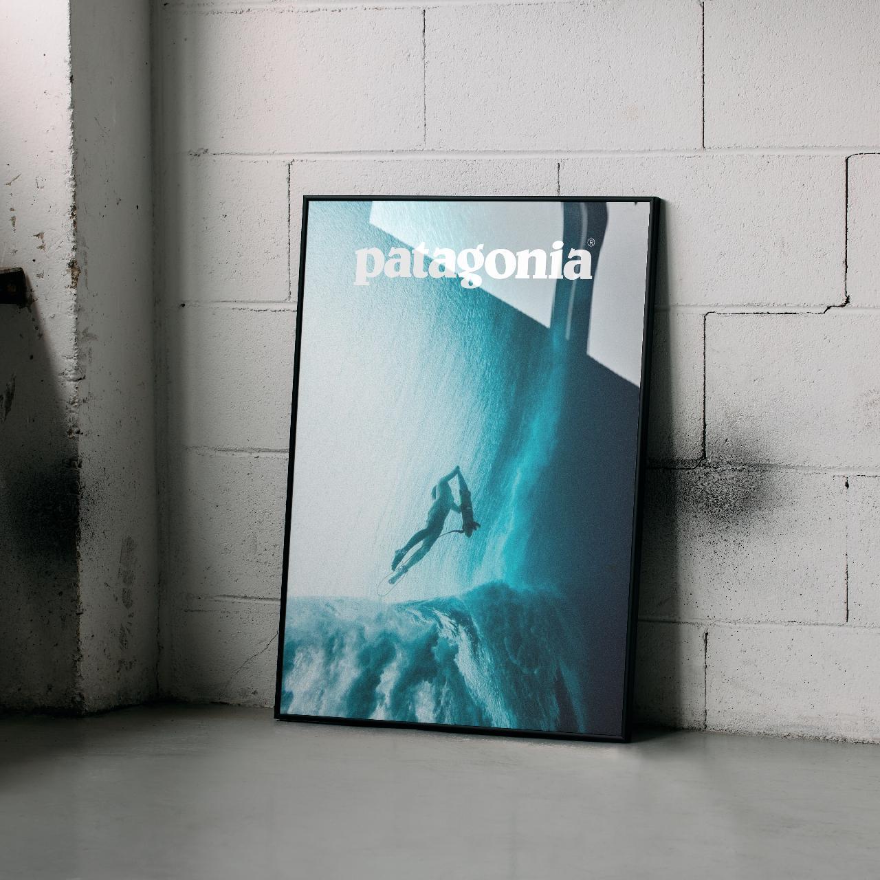 Patagonia poster [Size: A3] {High quality | Depop