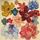 item listed by happydaycrochet