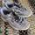 item listed by bethany_wardd
