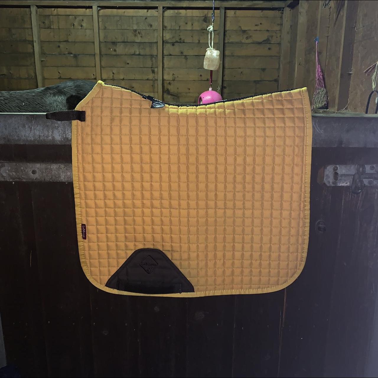 mustard large lemieux dressage, really good... - Depop