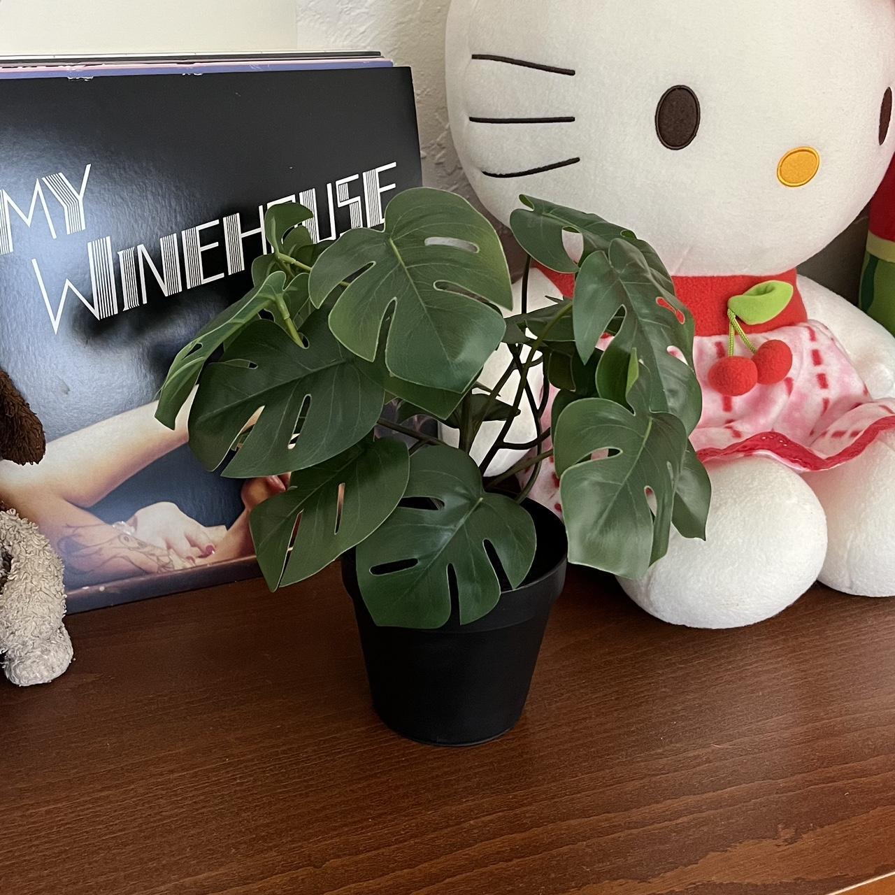 monstera plant 🌱🌿 🌎 fake monstera plant! perfect... Depop