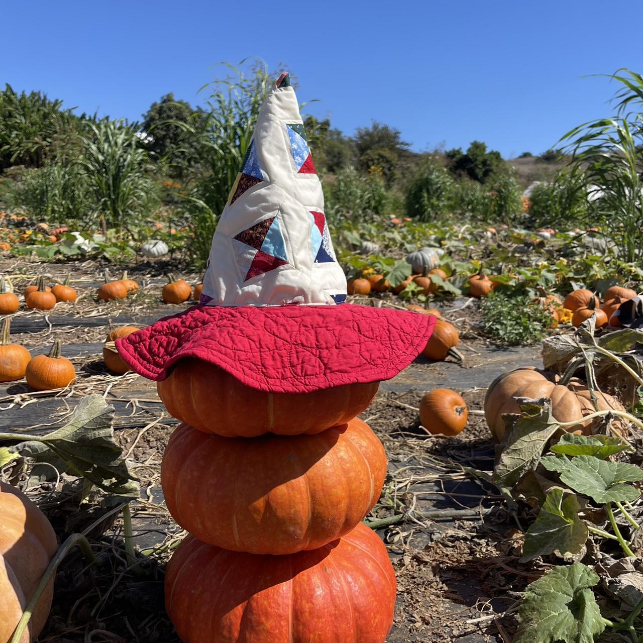 Women's Hat - Red/Multi – Unique patchwork witche… - image 2