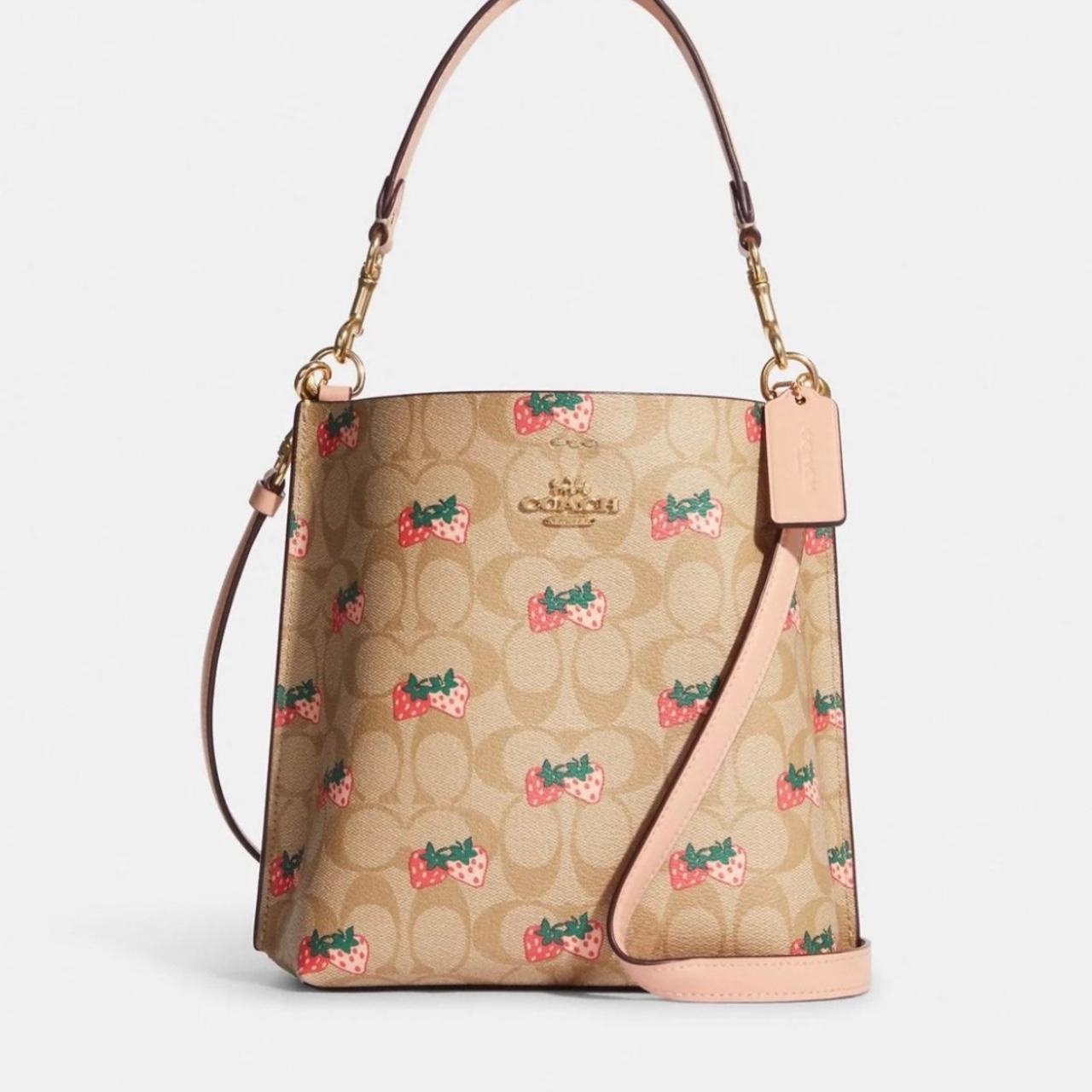 Town bucket bag discount coach