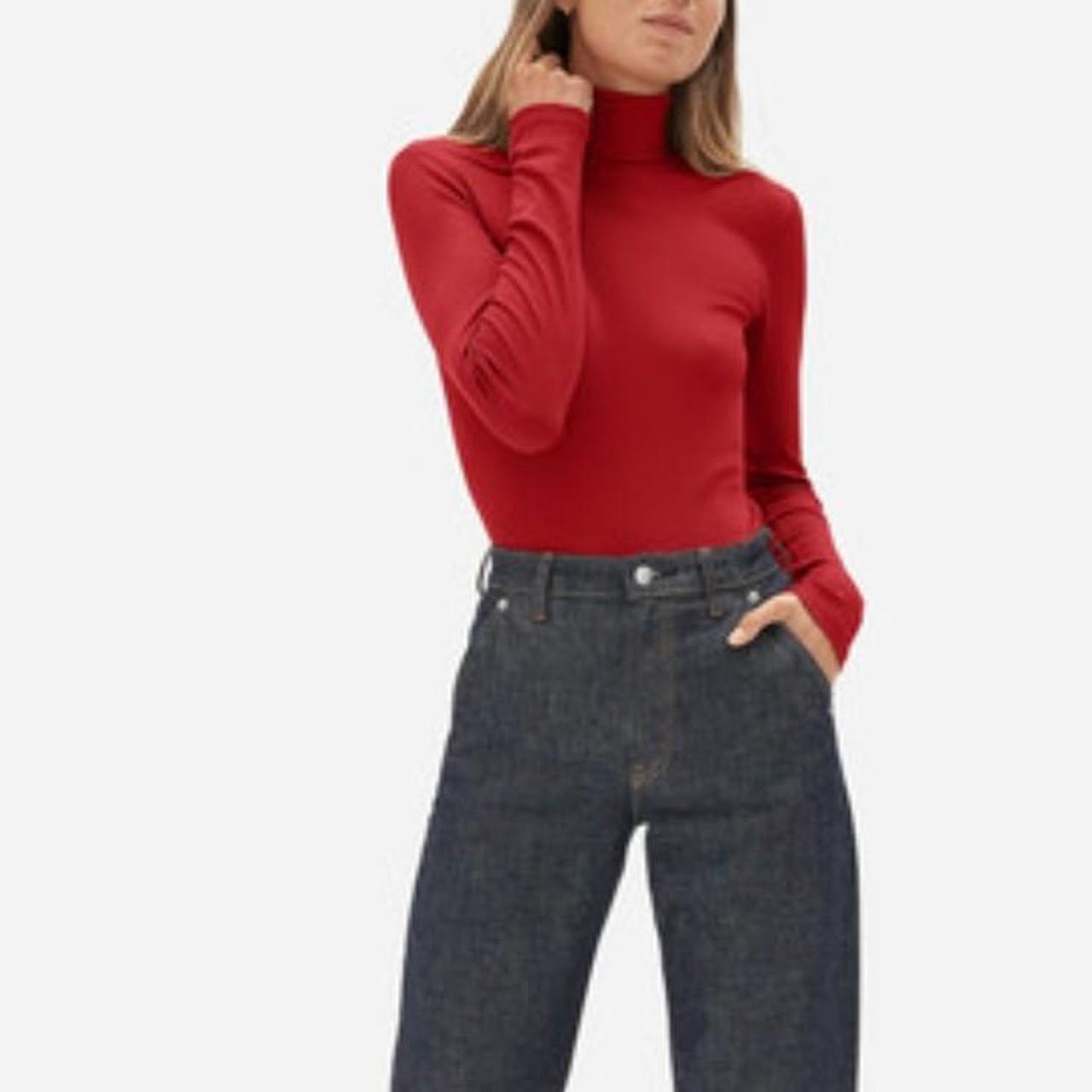 Everlane pima micro hot sale rib turtleneck