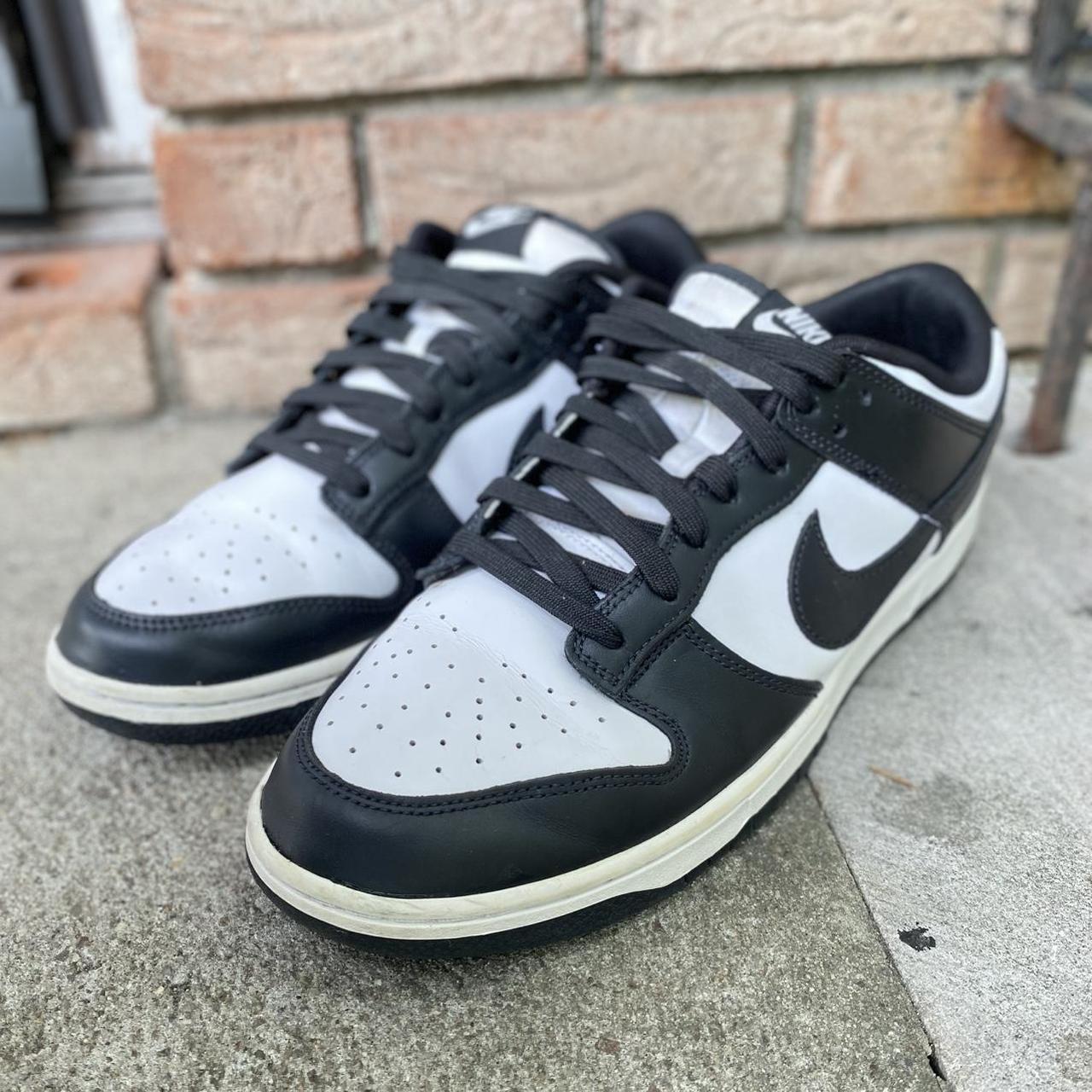 mens nike dunks size 12