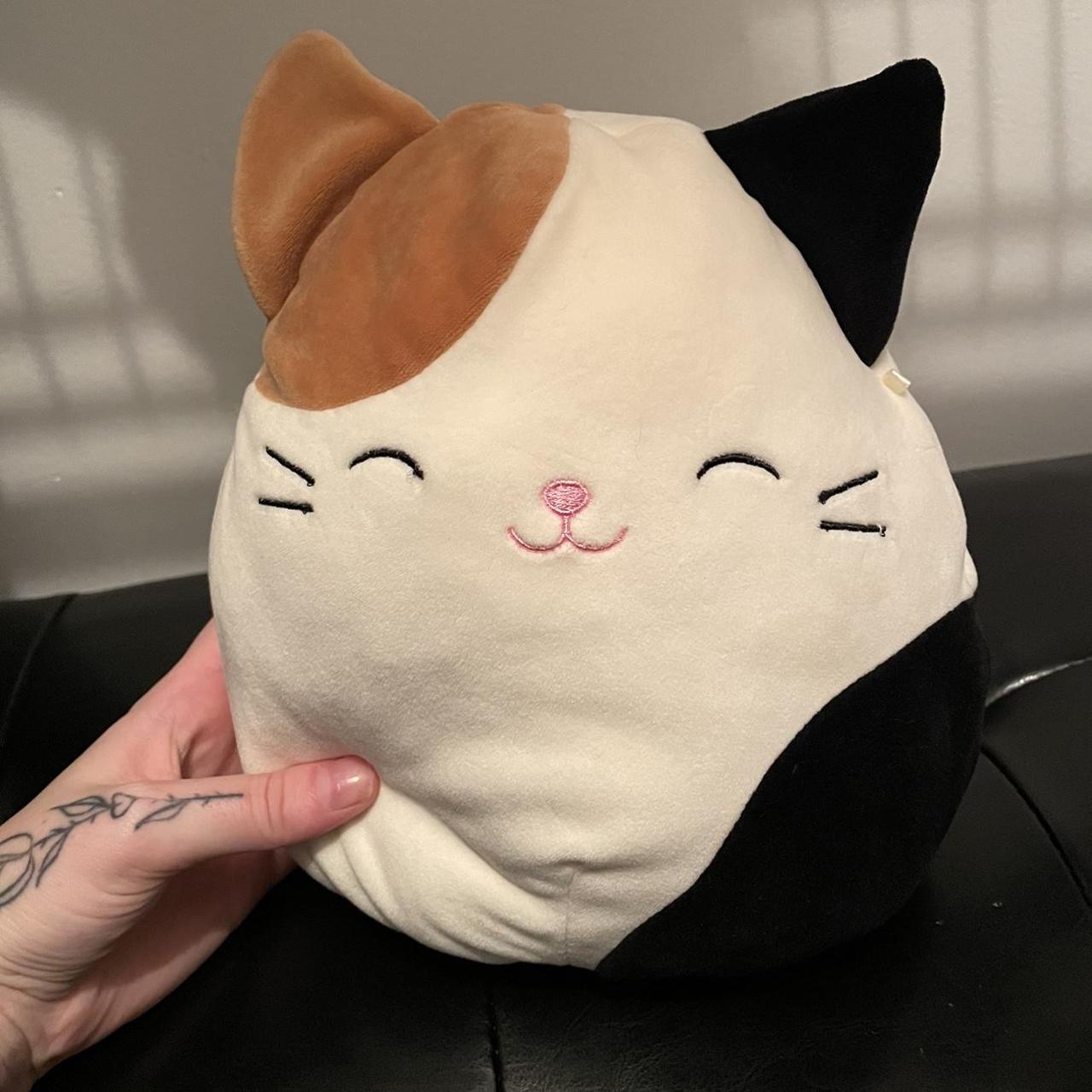 Cam the Cat 8” Squishmallow no tags #cam #cat... - Depop