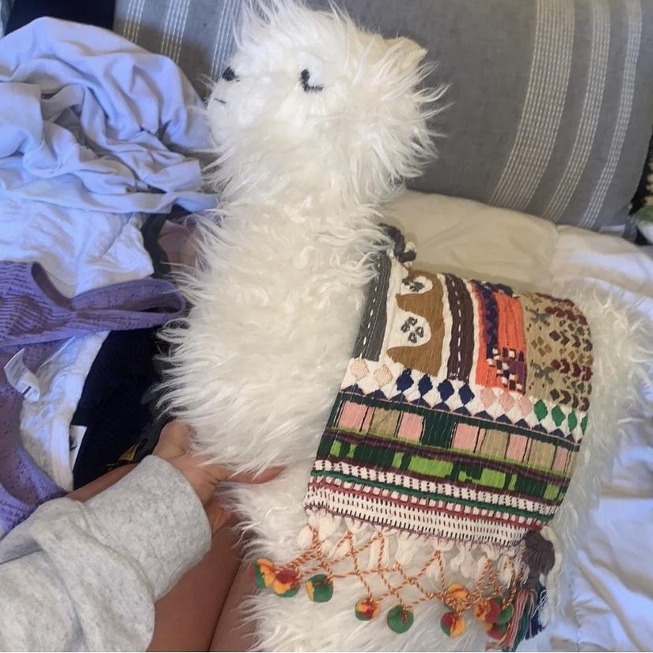 Urban outfitters llama pillow . So soft and fun ! - Depop