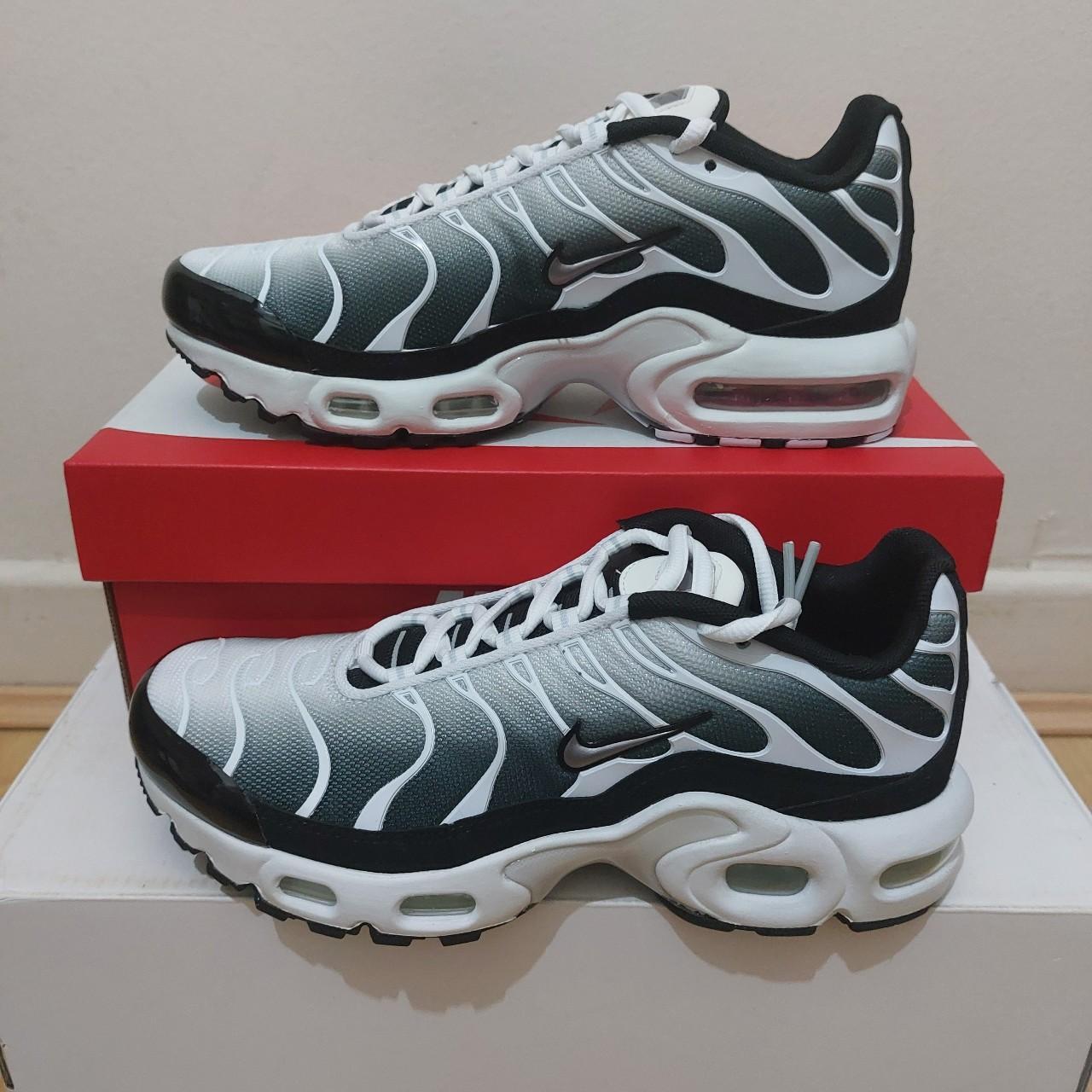 nike air max plus metallic cool grey