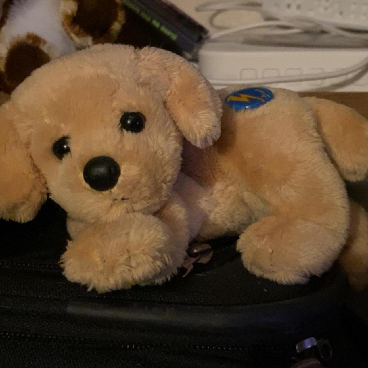 Golden retriever hotsell beanie baby