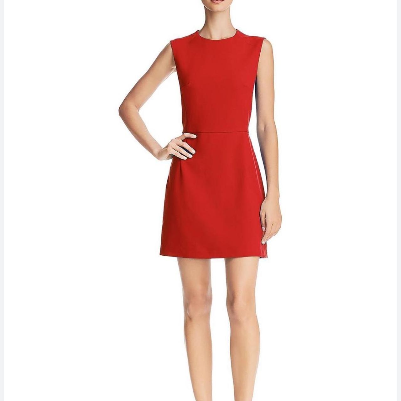 NWT French connection selling dress