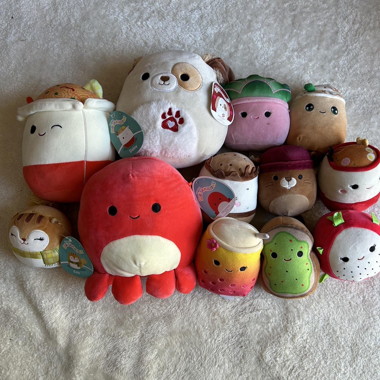 Huge 2024 Squishmallow Bundle