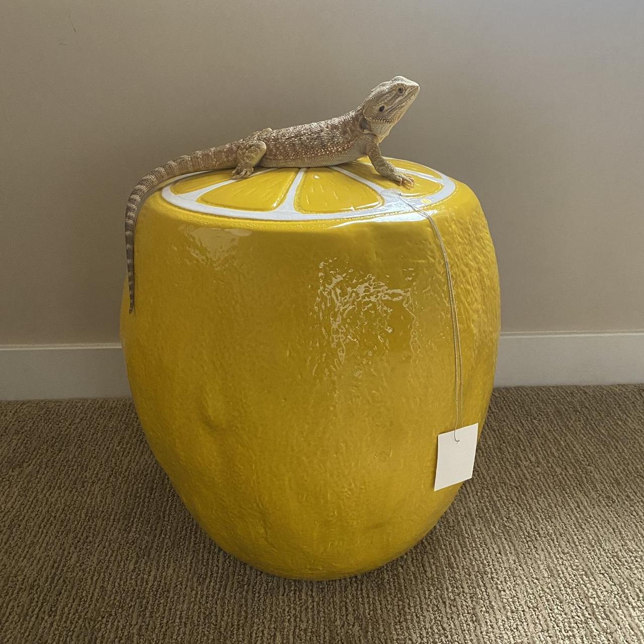 HomeGoods lemon stool viral on tiktok Plus FREE... Depop