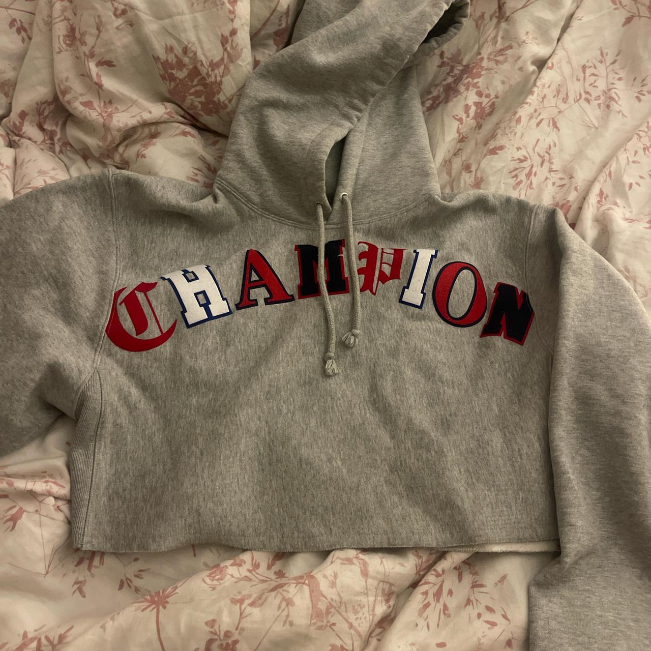 Urban outfitters Grey Champion cropped
