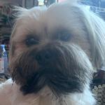 carter_bruh's profile picture