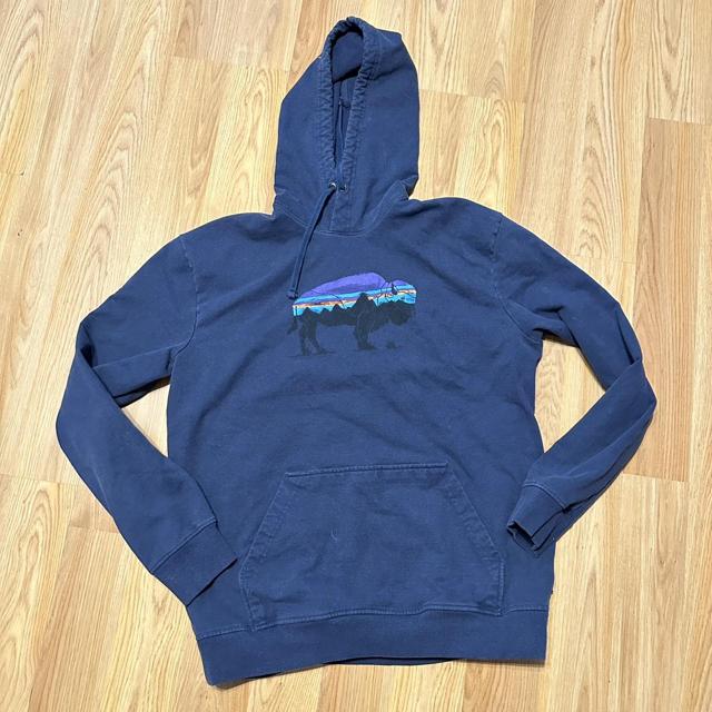 Patagonia 2025 buffalo hoodie