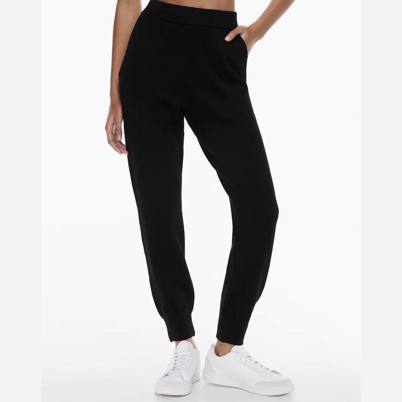 Aritzia Rodin Jogger (knit material),