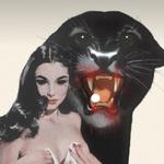 snowshop's profile picture