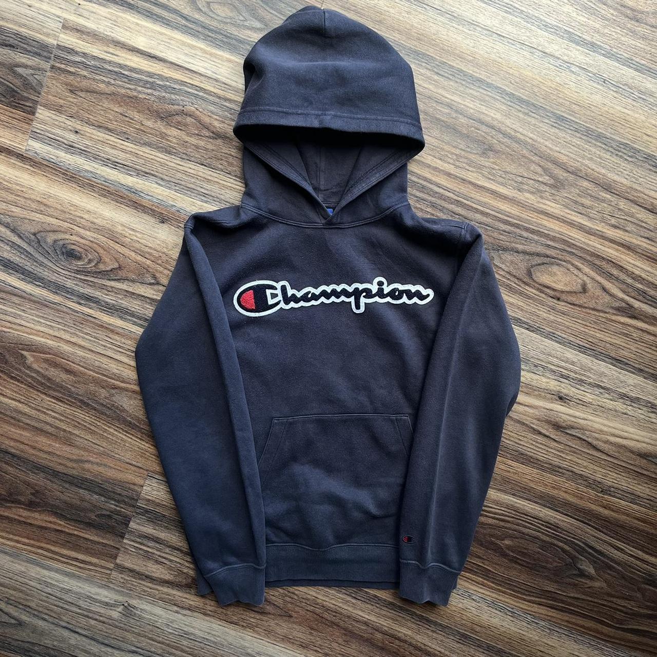 Mens champion hot sale hoodie navy