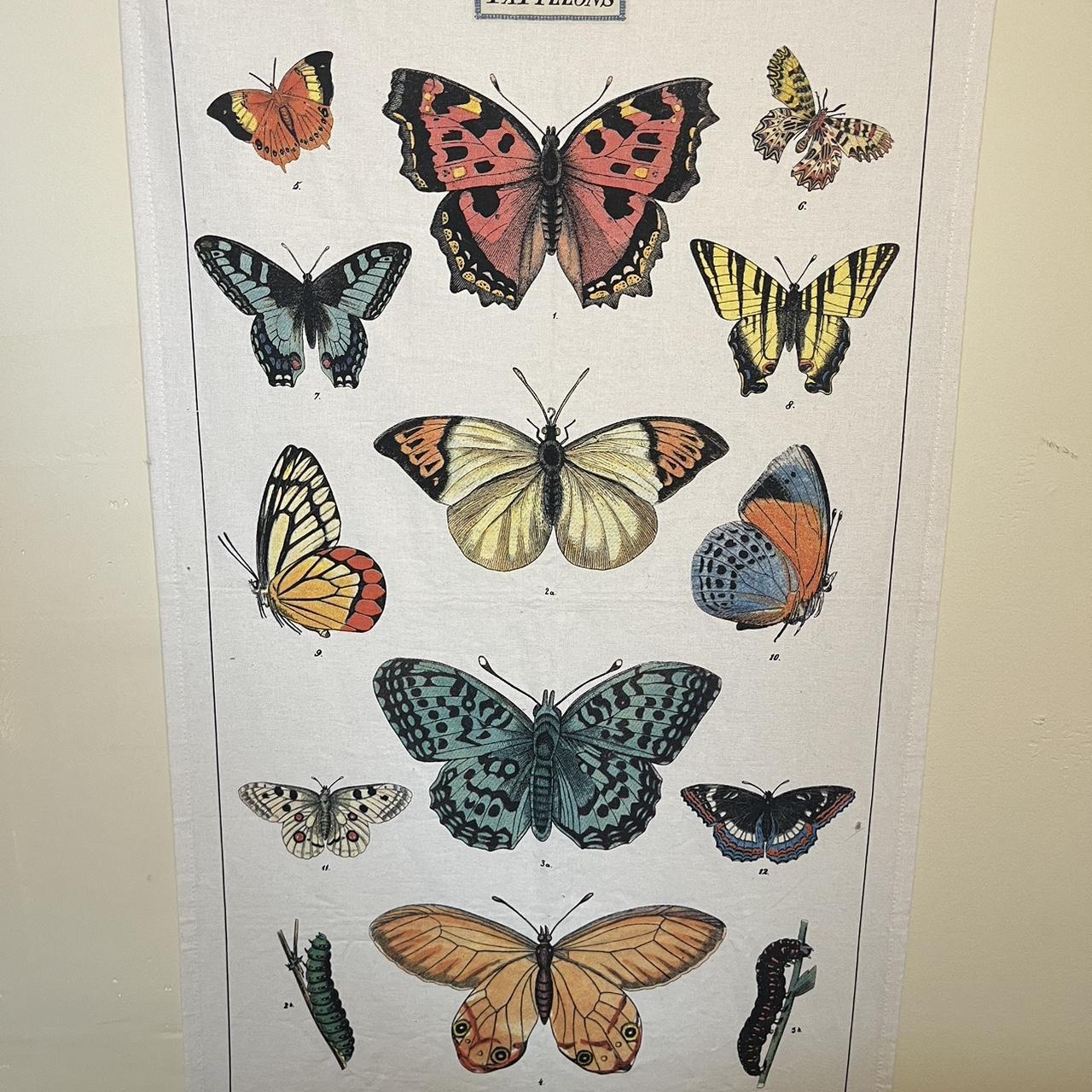 Butterfly tapestry best sale urban outfitters