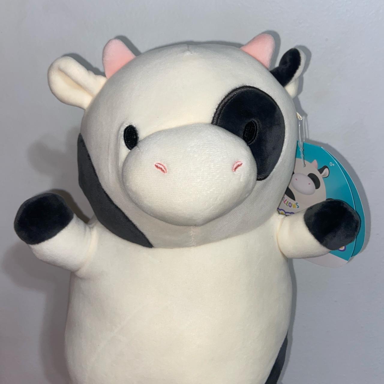 12 DOTD Connor!!! 🐄 He's so cute I don't wanna open him! : r/squishmallow