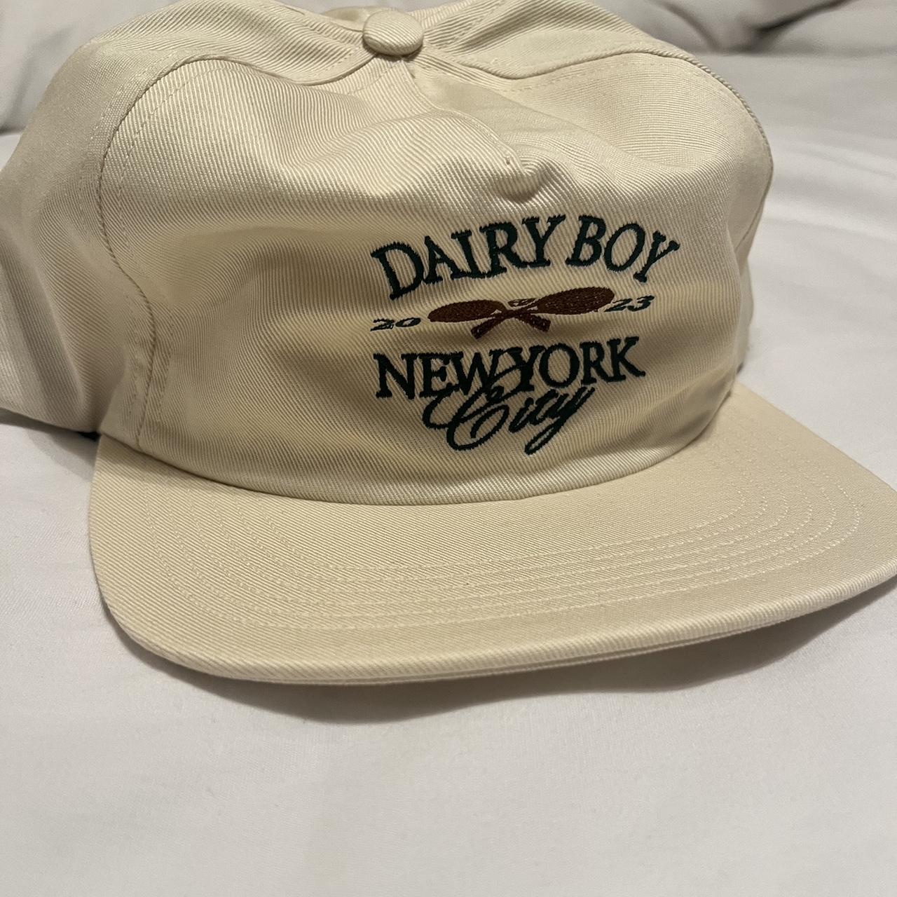 Dairy Boy Hat *BRAND NEW and sold out item *loved... Depop