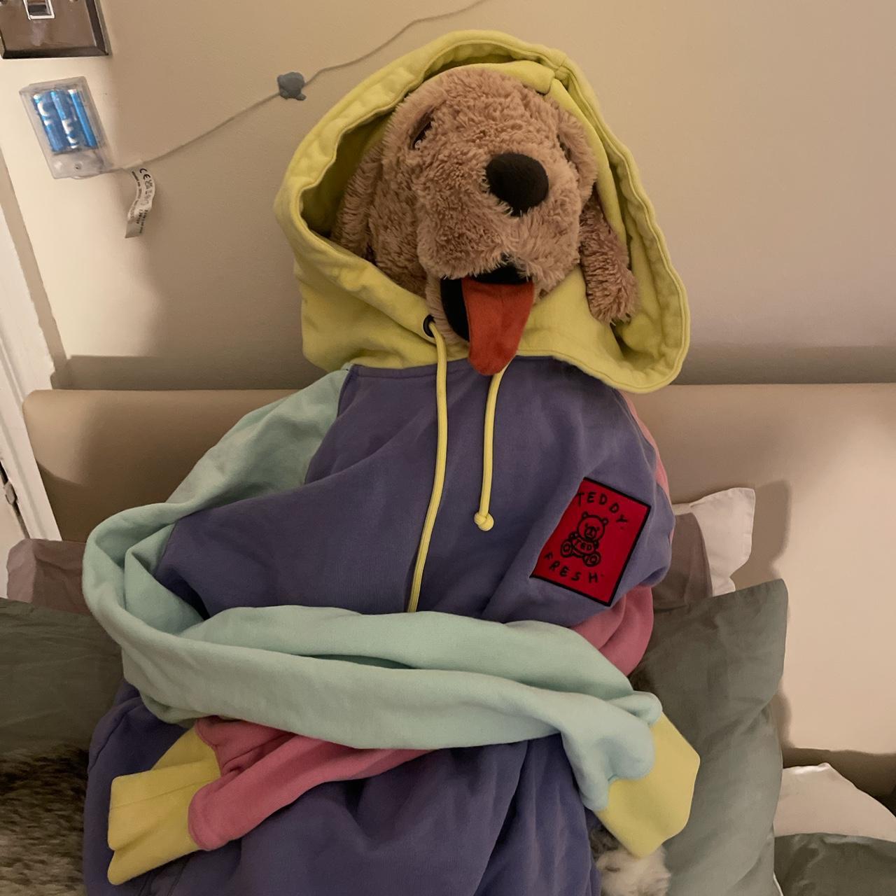 Teddy fresh hoodie store dog