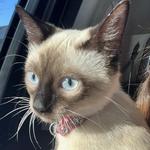 iamyarel's profile picture
