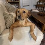 cameracase's profile picture
