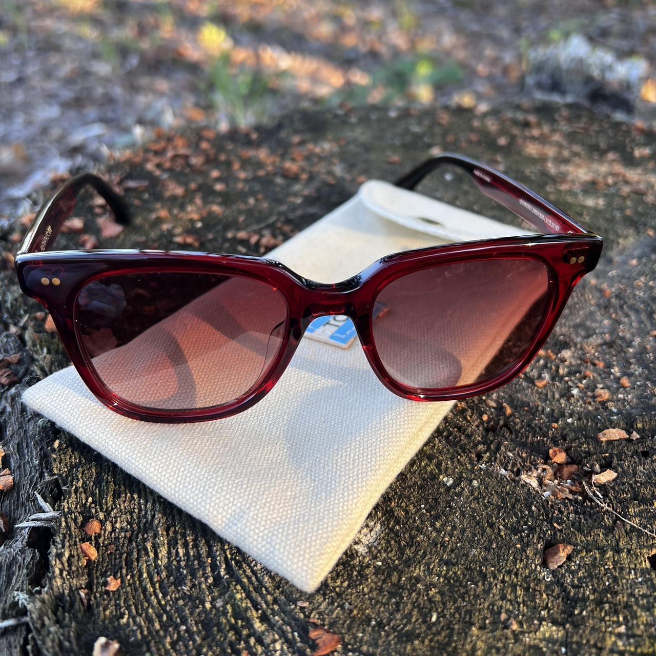 Carrera PACE Aviator Shape Sunglasses - Matte Havana / Burgundy -  iCuracao.com