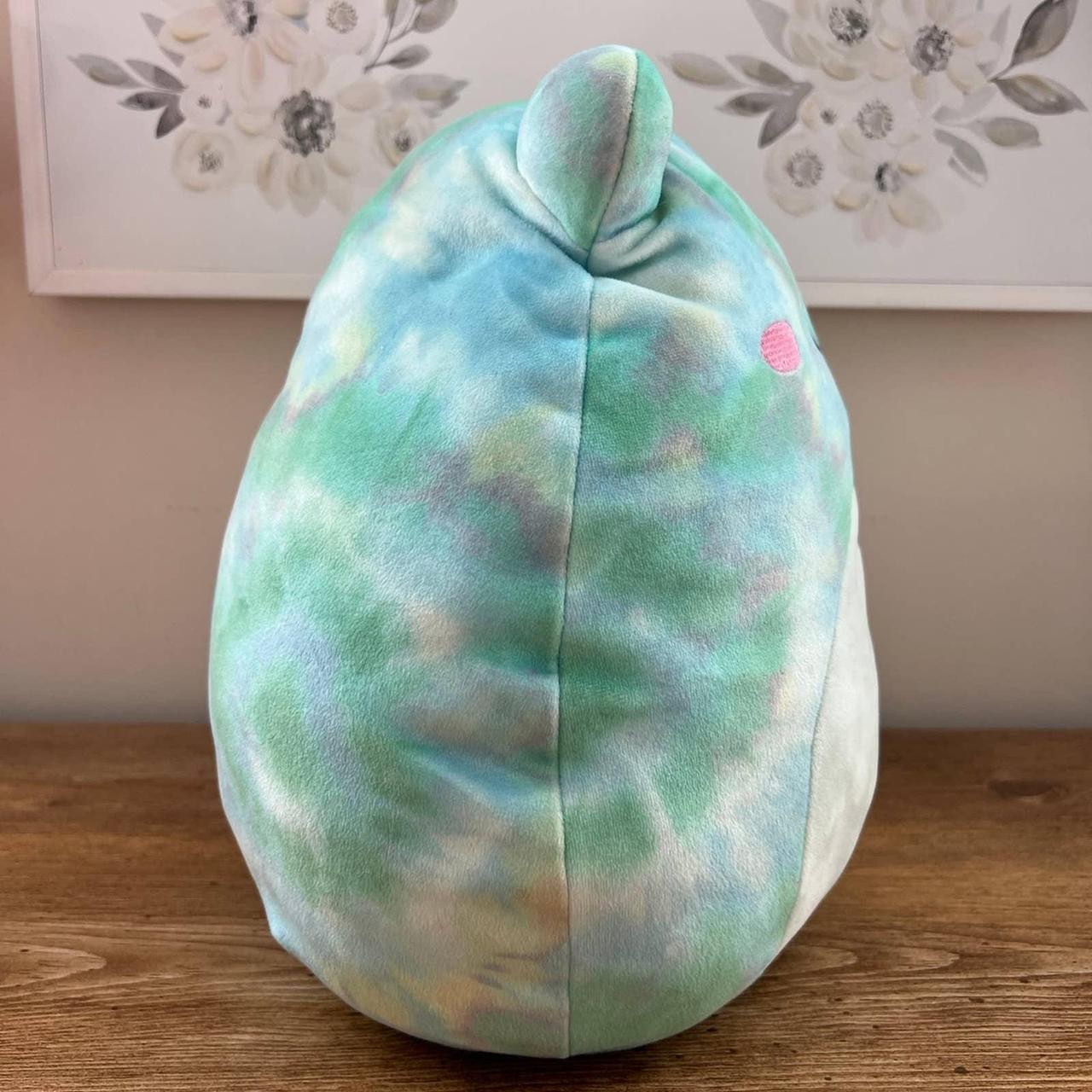 Ferdie tie dye frog squishmallow 5 inches - Depop