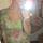 item listed by shelby_kristine