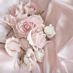 oneangelicprincesss's profile picture
