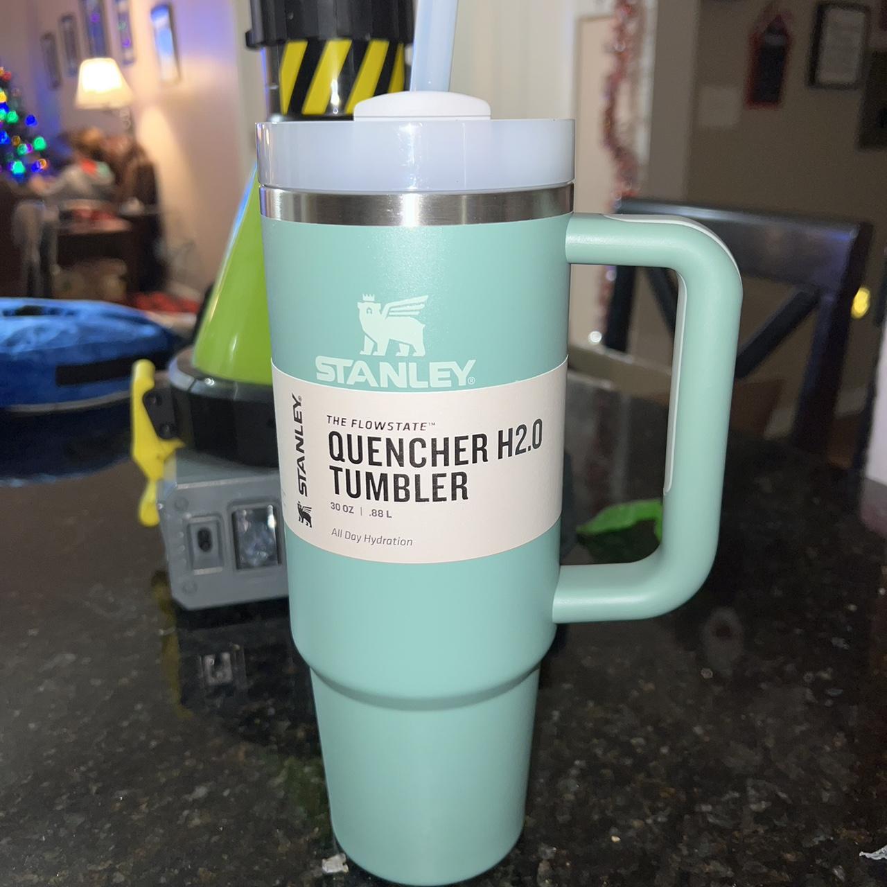 NEW Stanley The Quencher H2.0 Flowstate Tumbler 30 oz Eucalyptus