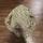 item listed by greenblueredyellow