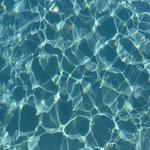 samsara_finds's profile picture