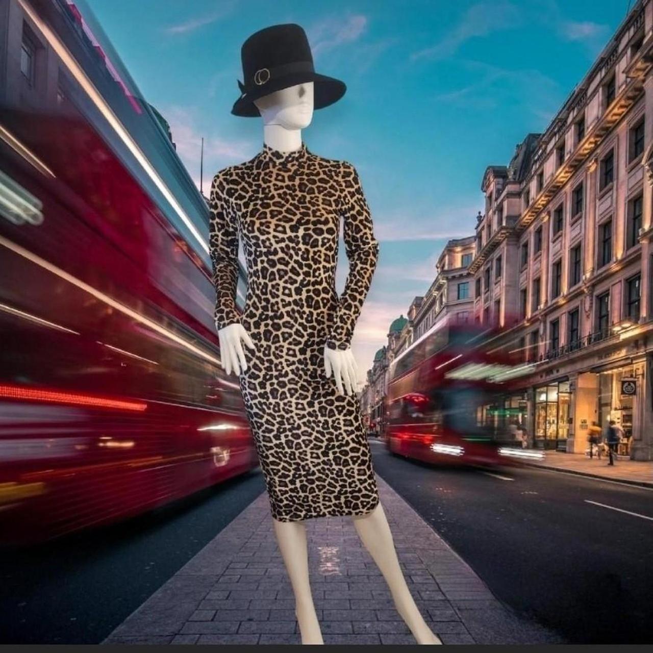 Long sleeve leopard print dress Retro animal print. Depop