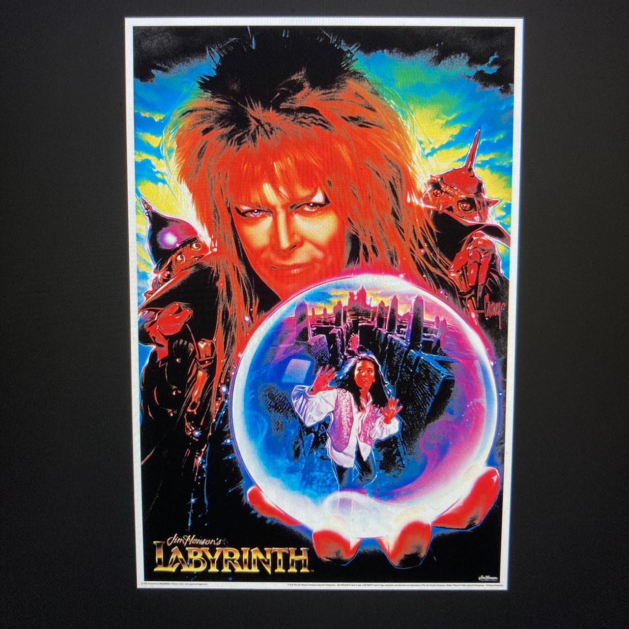 Labyrinth non flocked blacklight poster. App 24x36... - Depop