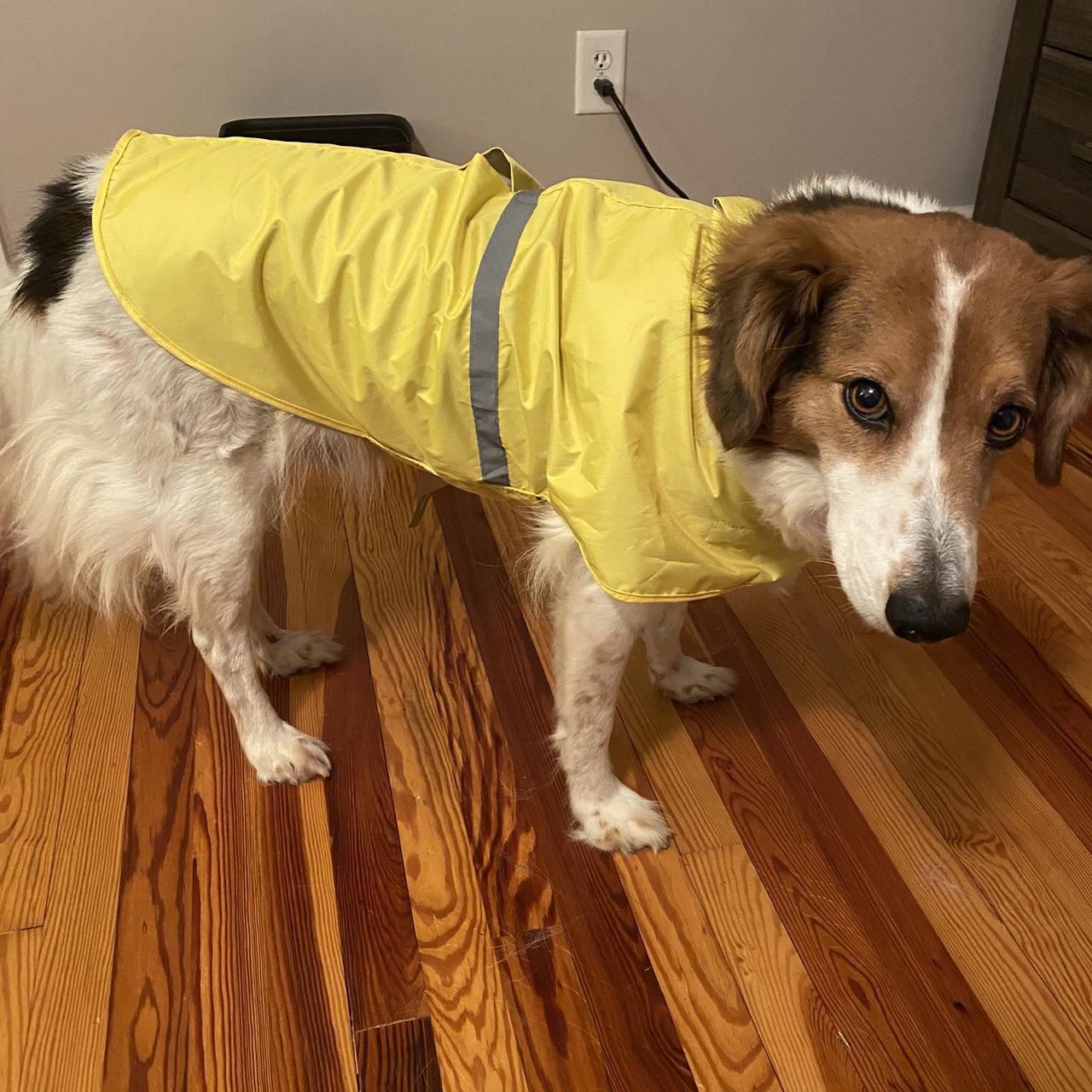 Women's Yellow Jacket Depop